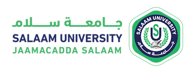 Salaam University